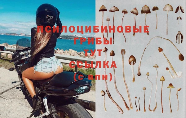 эйфоретик Вяземский