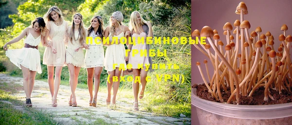 a pvp Новодвинск