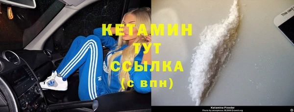 амф Новозыбков