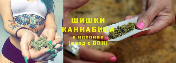 амф Новозыбков