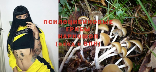 амф Новозыбков