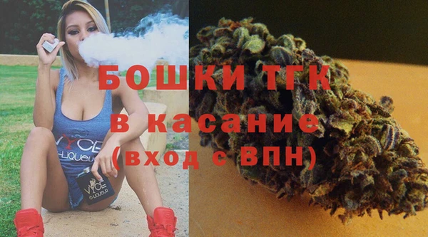 амф Новозыбков