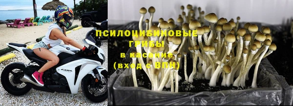 герыч Новокубанск