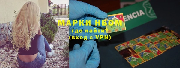 амф Новозыбков