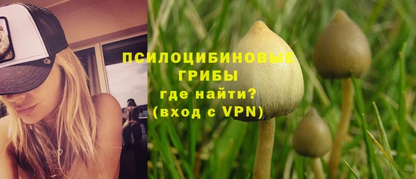 a pvp Новодвинск