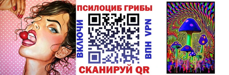 KRAKEN ссылка  Котово  Псилоцибиновые грибы мицелий 